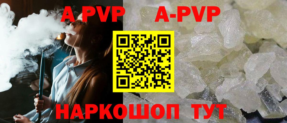 Альфа ПВП СК КРИС Кореновск